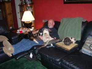 Wes and Cats.jpg