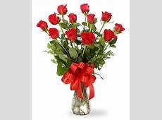 roses.jpg