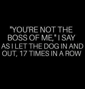 FB_IMG_16094600525325901.jpg