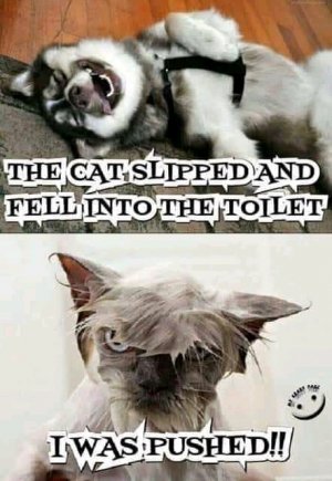 FB_IMG_16094602203062522.jpg