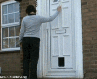 giphy (10).gif