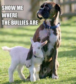 Bullies @.jpg