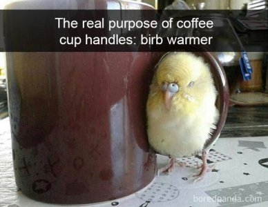 c95c3e05a1e499fc7d014c7fad0fdc75[1].jpg