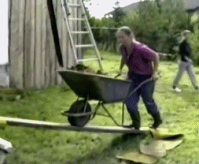 990f9f7df53db7378568977d47ab8ed4.gif