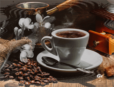 43675fce01d515d63bd612f68740541d.gif