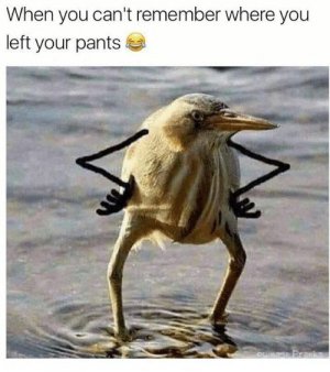 e8a7930a9dfe9234aaca2a73a0417b33[1].jpg
