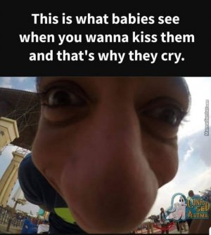 5b2f9d3685dc52e525c88b6549a36978[1].jpg