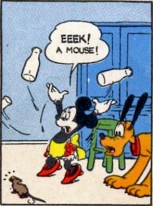 Mouse @b.jpg