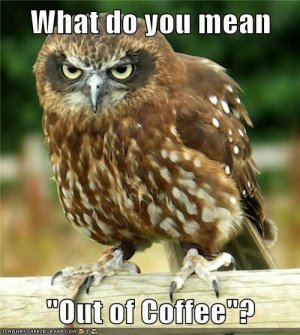 what-do-you-mean-out-of-coffee.jpg