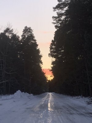 084F4585-F5CD-4E1F-8179-4DF059A00350.jpeg