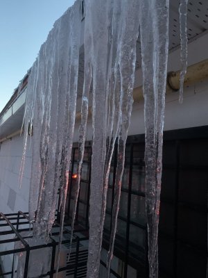 F3E09689-BD65-4C66-8675-74E0472C75C8.jpeg