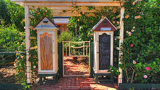little-free-library11.jpg