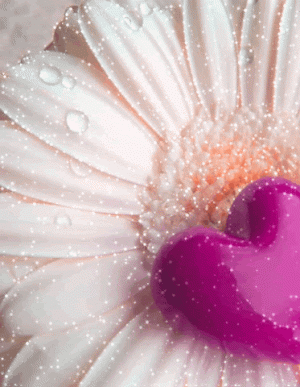 a2f65aa157e56f2f37f2f5c05600eac1[1].gif