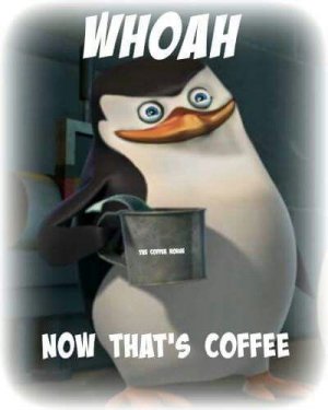30311a851147eb0e22427bec7f7660e3[1].jpg