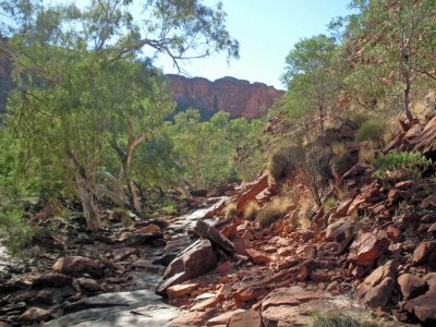 kings canyon.jpg