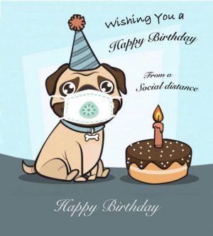 Promotion sale!, Birthset 6in1, sweet doggie Happy Birthday magnet, Birthday Social Distancin...jpeg