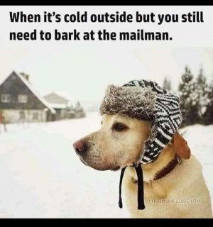 barkmailman.jpg