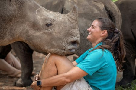 rhino.jpg