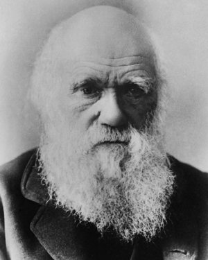 darwin.jpg