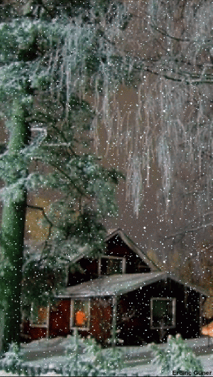 d3cbb67262fd70b8abeb1c96140c8cfa[1].gif