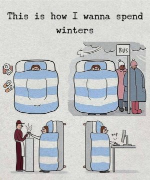 24bed05632490496f82e7ea41a929c62[1].jpg