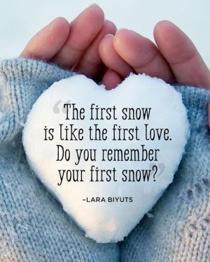 c0fef7d00fe19160e6fb191132c13779[1].jpg