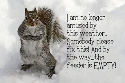 2e9fe8d91d2b1c2cb96c1a74c300ba5d[1].jpg