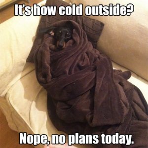 527522a6424d94132cbd0a7047ba9bdf[1].jpg