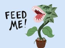 Little Shop of Horrors' is both a campy musical comedy and a cautionary  tale - The Chronicle