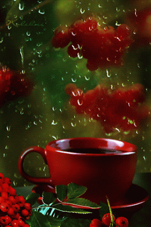 be7db8bcd4e630fd68c62af5413ac5dd[1].gif
