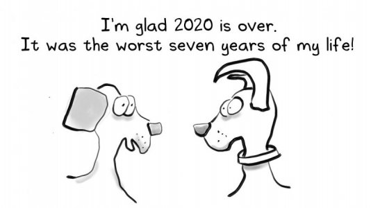 good bye 2020.jpg