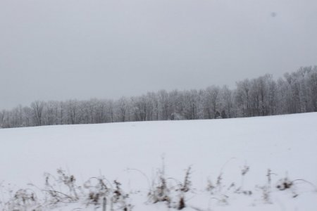 snowscene.JPG