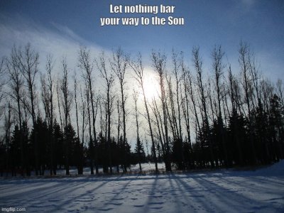 Meme 1 - Let nothing bar your way to the Son.jpg