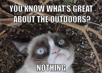 Grumpy-Cat-Meme-You-know-whats-great-about-the-outdoors...nothing-e1371645725741.jpg