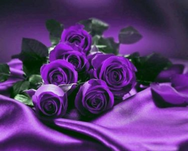 3fbf1ad516cc7557cc69ff17d0bd043a.jpg