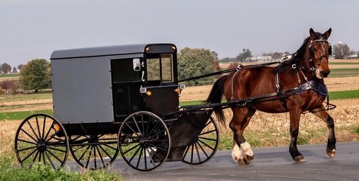 carriage.jpg