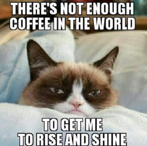 grumpy-cat-coffe.jpg