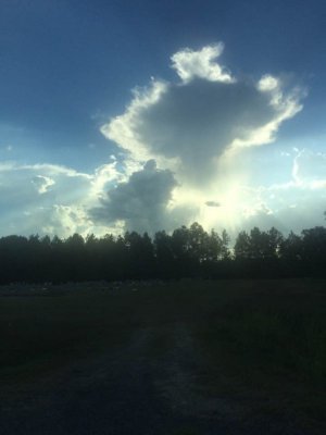 clouds.jpg