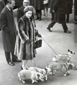 The Queen And Her Corgis.jpeg