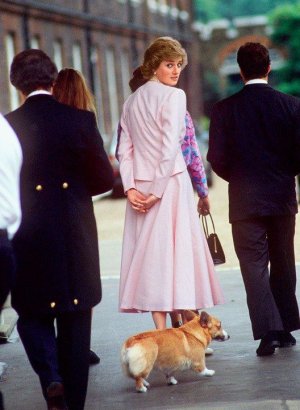 Queen Elizabeth and Her Corgis_ A Love Story.jpeg