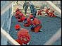_40657367_campxray88.jpg