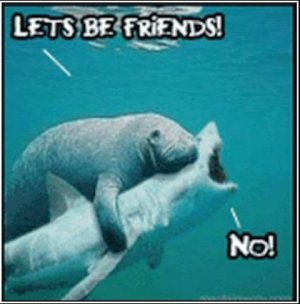 Friendly @.jpg
