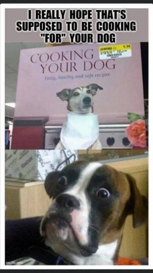 cookingfordog.jpg