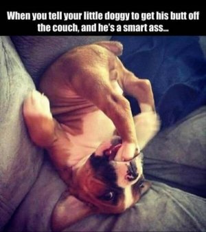 buttoffcouch.jpg