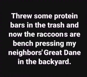 proteinbarsracoons.jpg
