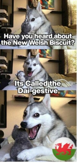 FD92D543-9CC0-42E9-876A-38705E99E8E5.jpeg