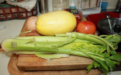 celery.JPG