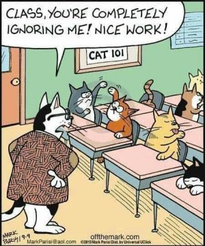 catsignoring.jpg