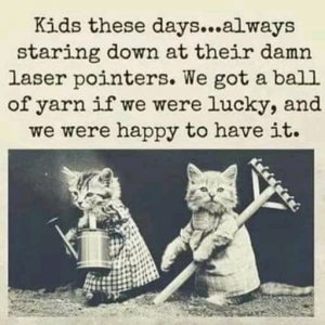 FB_IMG_16112921848081162.jpg