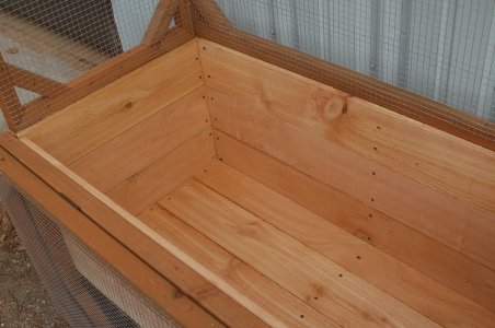 raised bed inside.JPG